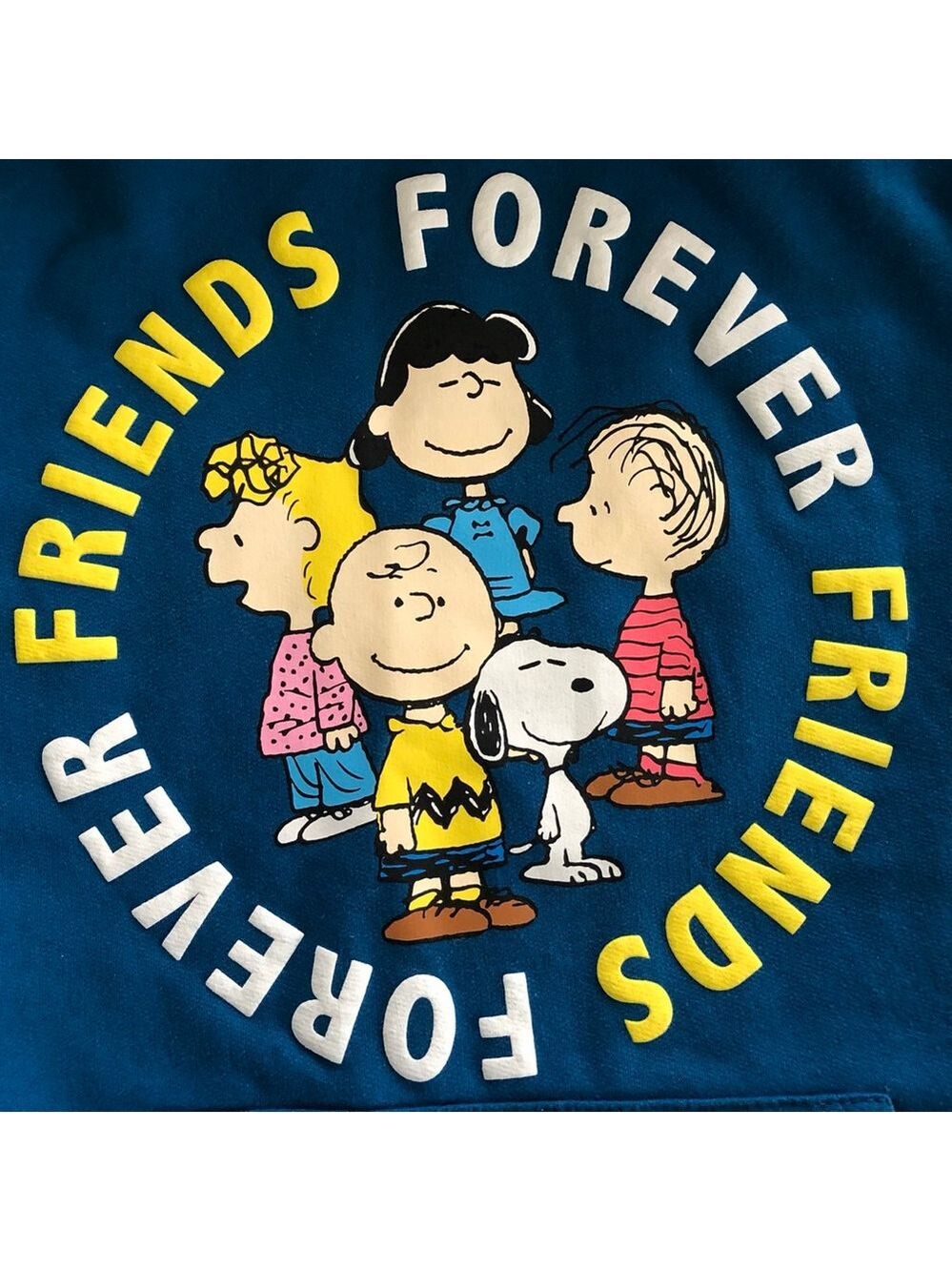 PEANUTS Friends Forever Hoodie Juniors Size Medium (7-9). - Picture 3 of 12